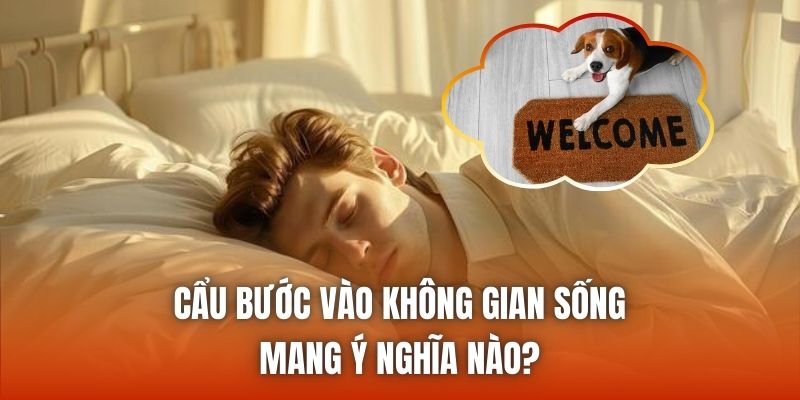 Cẩu bước vào không gian sống mang ý nghĩa nào?