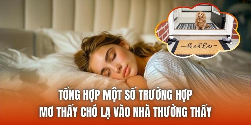 Tổng hợp một số trường hợp mơ thấy chó lạ vào nhà thường thấy