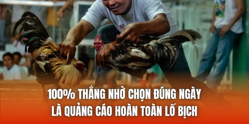 100% thắng nhờ chọn đúng ngày là quảng cáo hoàn toàn lố bịch