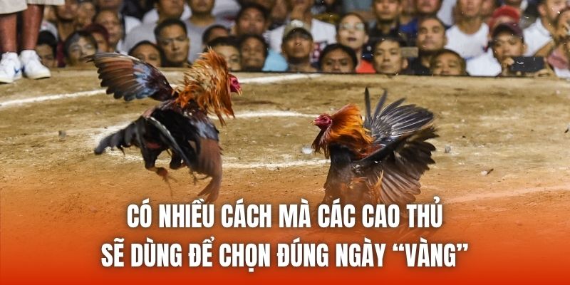 Có nhiều cách mà các cao thủ sẽ dùng để chọn đúng ngày “vàng”