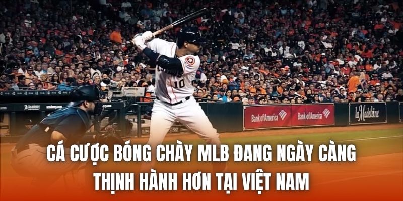 Cá cược bóng chày MLB đang ngày càng thịnh hành hơn tại Việt Nam