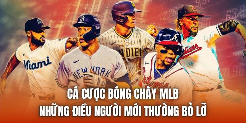 Cá Cược Bóng Chày MLB | Những Điều Người Mới Thường Bỏ Lỡ