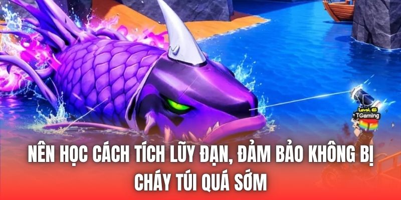 Nên học cách tích lũy đạn, đảm bảo không bị cháy túi quá sớm