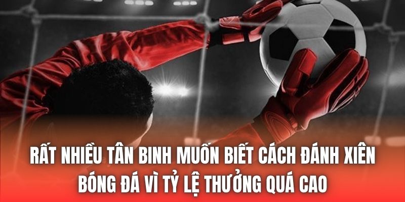 Rất nhiều tân binh muốn biết cách đánh xiên bóng đá vì tỷ lệ thưởng quá cao