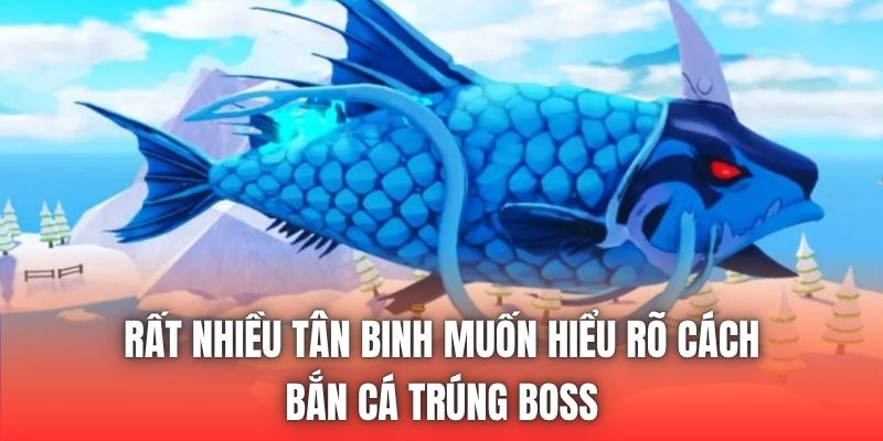 Rất nhiều tân binh muốn hiểu rõ cách bắn cá trúng boss