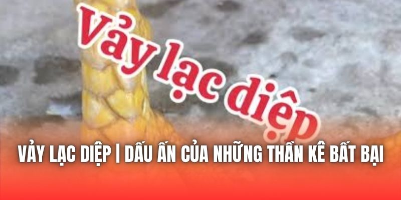Vảy Lạc Diệp | Dấu Ấn Của Những Thần Kê Bất Bại