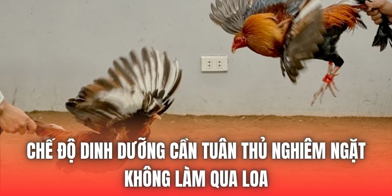 Chế độ dinh dưỡng cần tuân thủ nghiêm ngặt, không làm qua loa