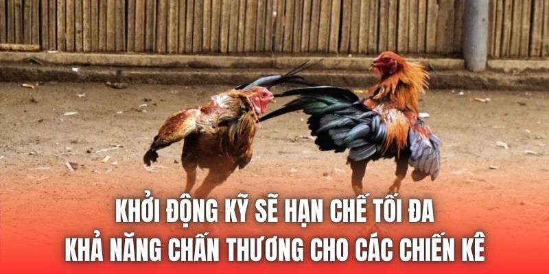 Khởi động kỹ sẽ hạn chế tối đa khả năng chấn thương cho các chiến kê