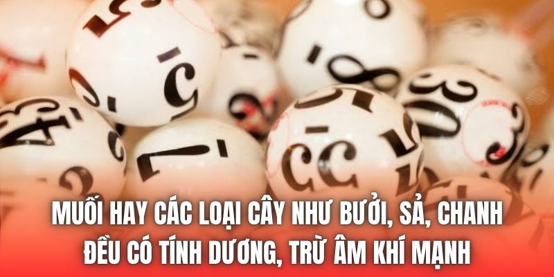 Muối hay các loại cây như bưởi, sả, chanh đều có tính dương, trừ âm khí mạnh